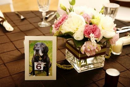 dog photos as wedding decor